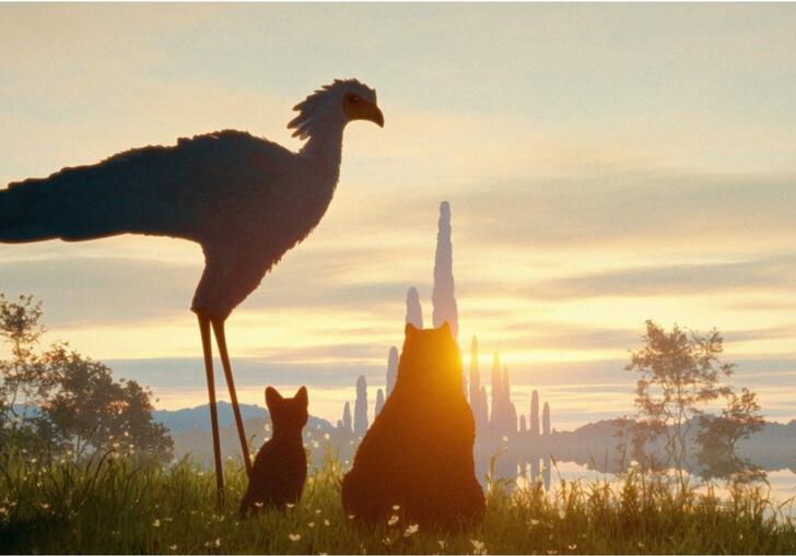 Three animals sit watching a sun set