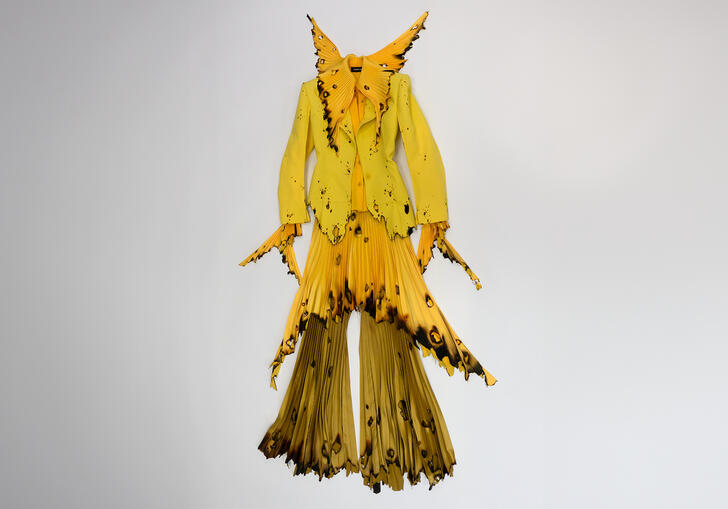 Robert Wun's yellow rose, with exaggerated proportions and singed details