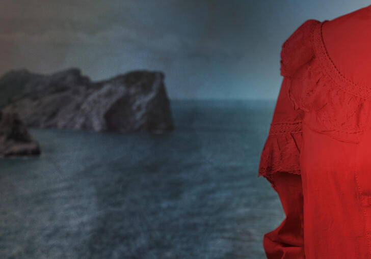 Orlando artwork - torso of person wearing red shirt against background of seascape