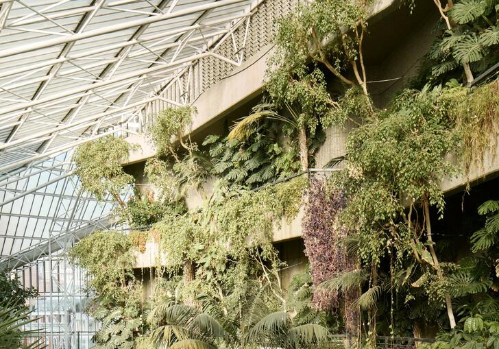 An image of the conservatory
