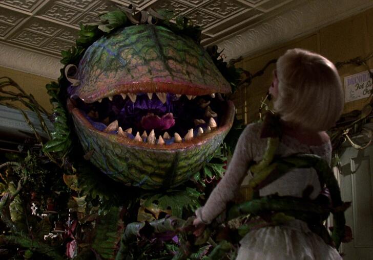 Little Shop of Horrors