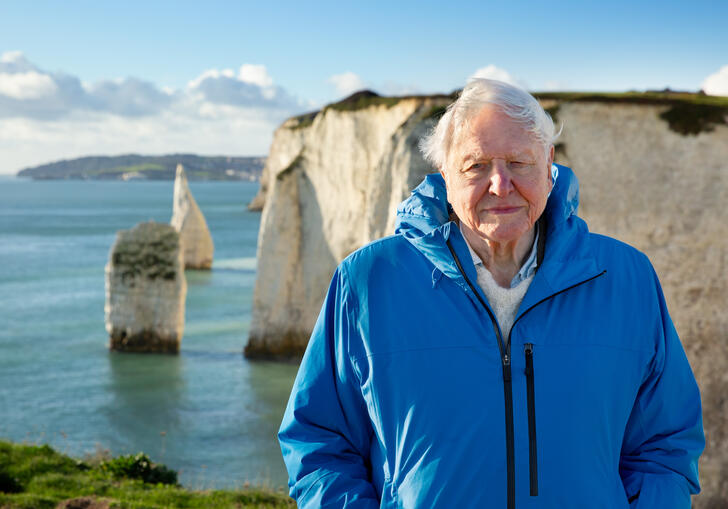 David Attenborough in a blue coat stands in front of white cliffs