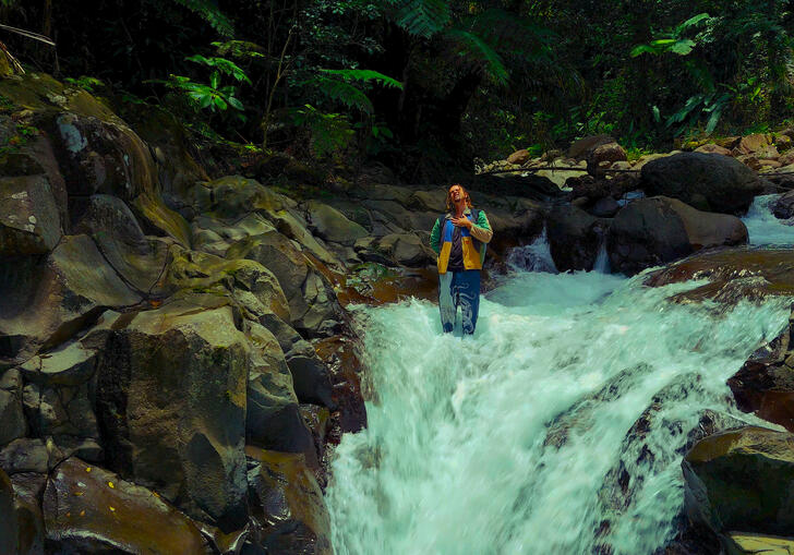 Louis VI standing at the top of a waterfall surrounded by 
