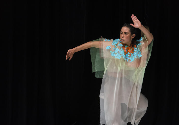 A dancer moves elegantly draped in a mesh, see-through fabric.