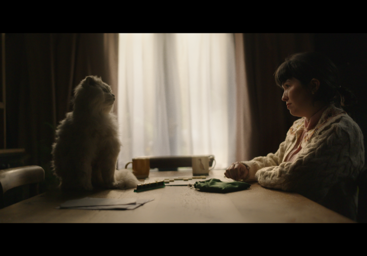 A woman sits at her kitchen table, playing scrabble, looking at her fluffy cat