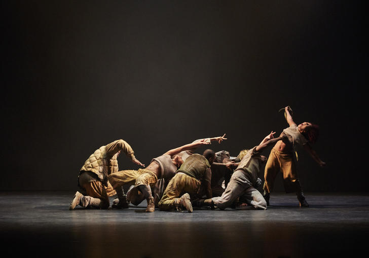 Image of a group of dancers in various positions. Most of them are crouched and reaching towards a dancer at the far right who is upright. All the dancers are in brownish and/ or grey clothing