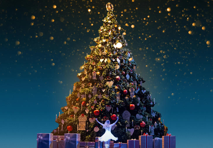 An image from The Nutcracker at the Royal Opera House
