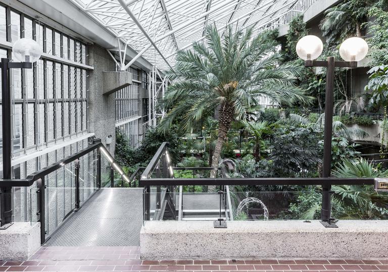 Conservatory Terrace