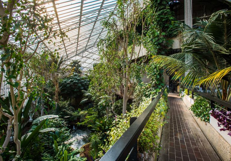 Image result for barbican conservatory