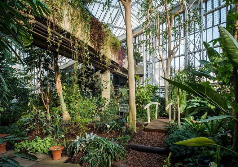 Visit The Conservatory Barbican