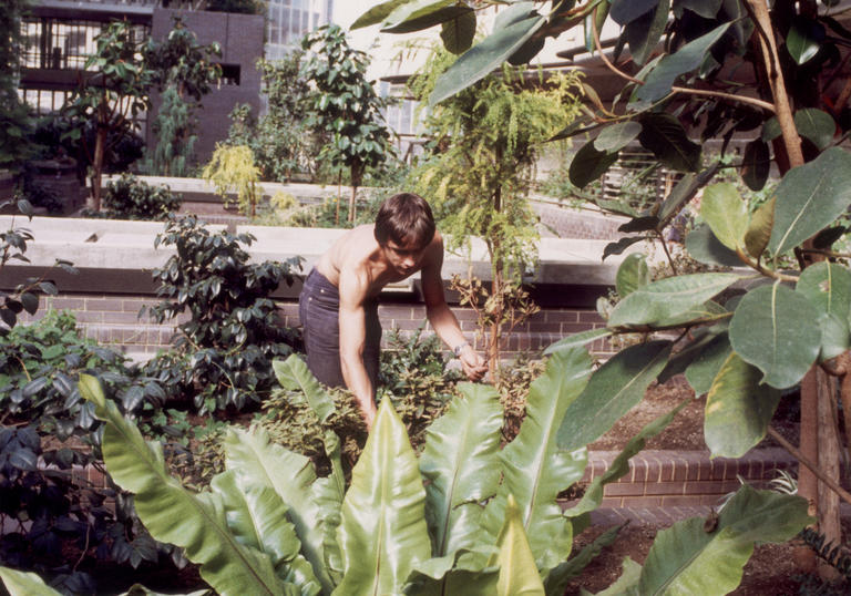 Flying Trees and Sunken Squares exhibition at the Barbican