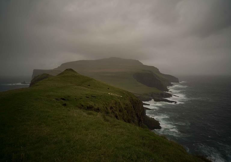 Global Health Film Festival: The Island and the Whales