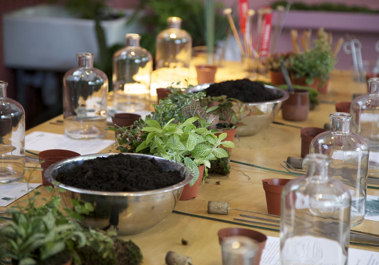 Terrarium workshop workstation