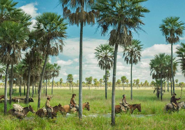 Lucrecia Martel's mesmerising Zama