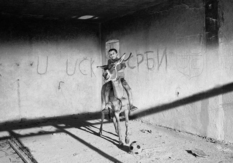 photo of little boy riding a wooden horse