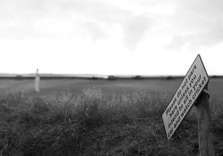 grass and a sign