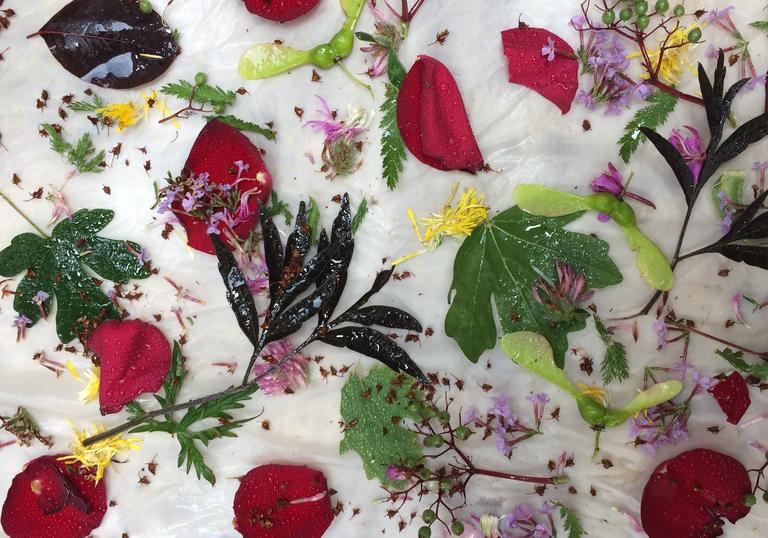 Image of floral dyeing with Botanical Inks as part of make! in the barbican shop