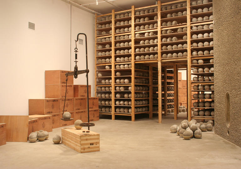 installation of Huang Yong Ping