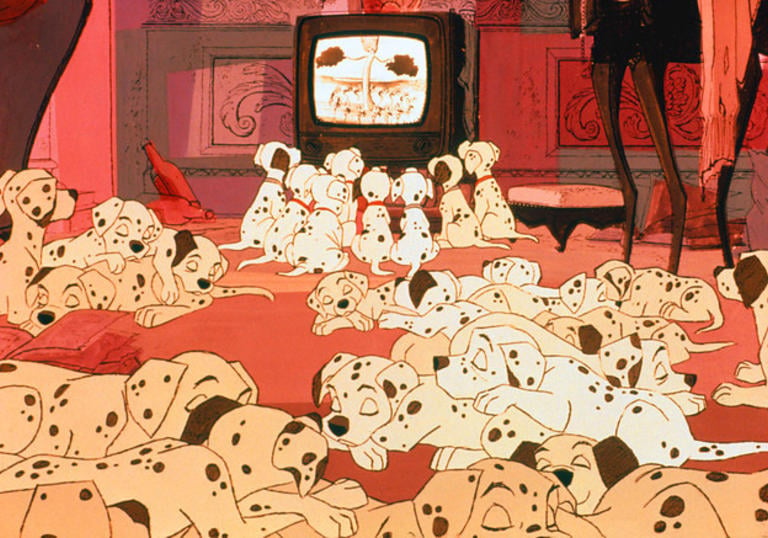 The dalmatians watch television in a red room