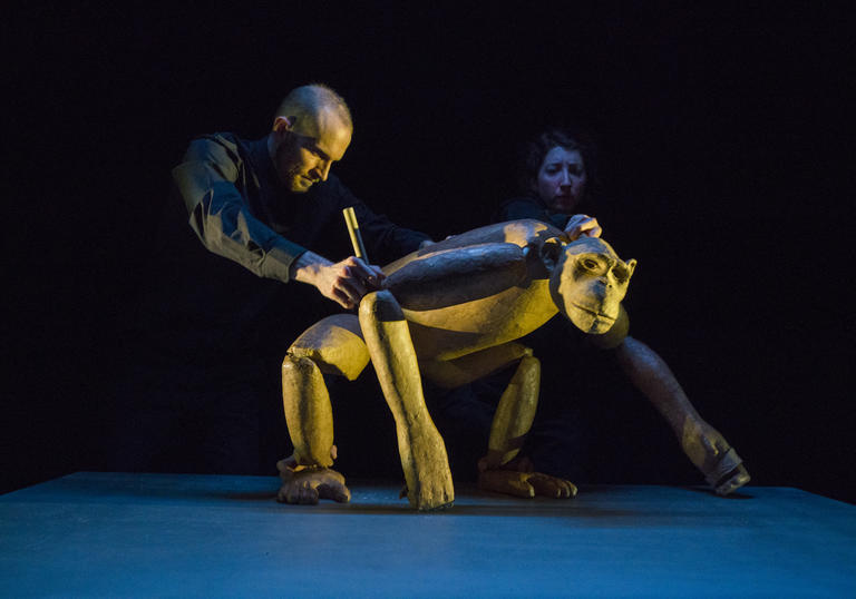 A large chimpanzee puppet is being operated by two of the three puppeteers