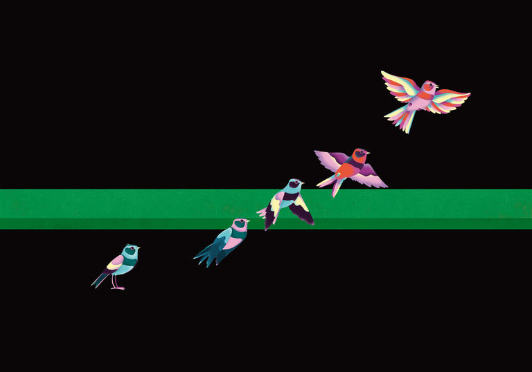 Artwork showing five multi-coloured swallows flying over a black and green background.
