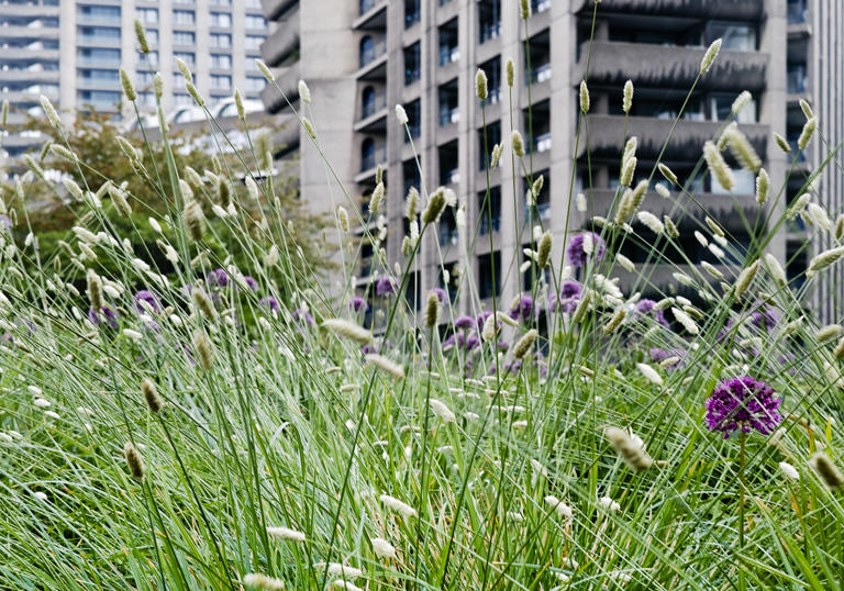 Urban Garden Photo Walk
