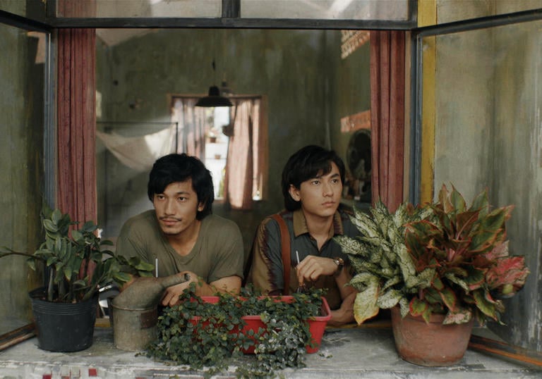 two young men looking out surrounded by plants