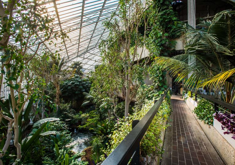 conservatory walkway with trees and plants