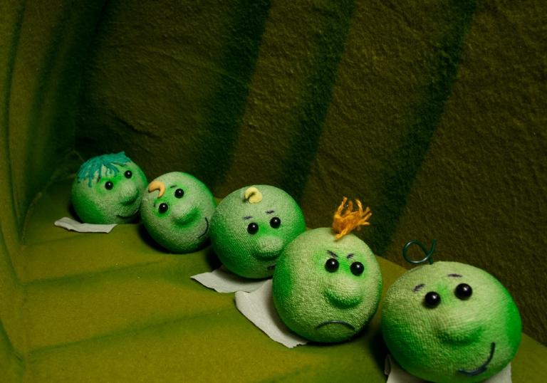 A row of five felt peas in side a larger pod