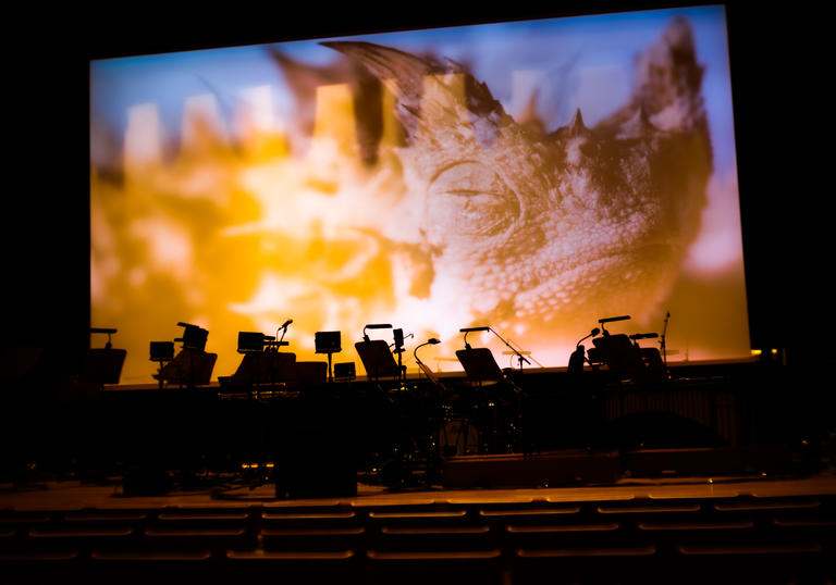 photo of the australian chamber orchestra