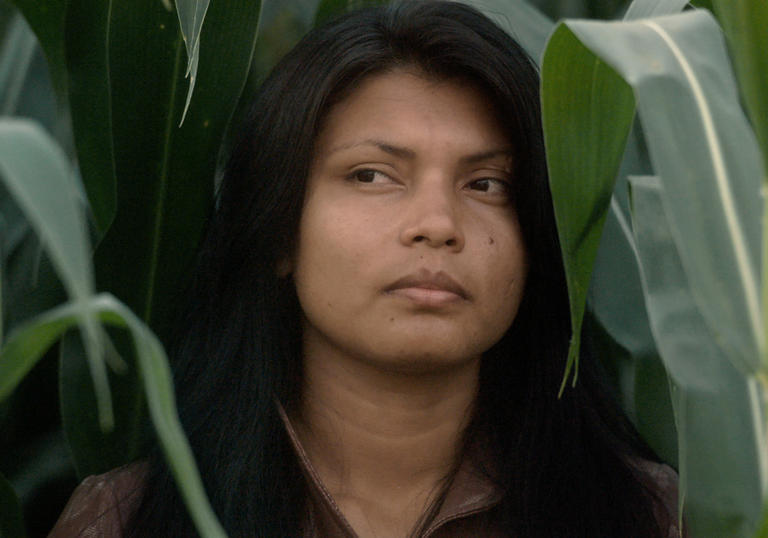 Woman within field of crops