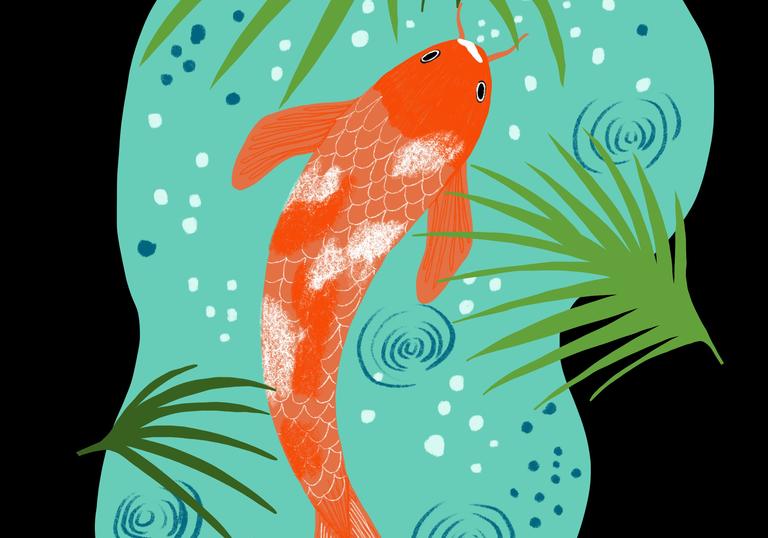 Illustration of a Koi Carp in a light blue pond with green leaves