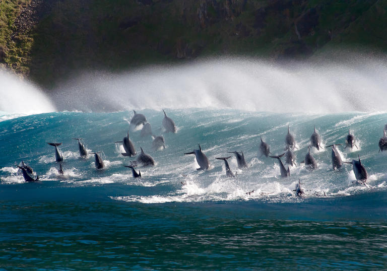 Oceans: Our Blue Planet 