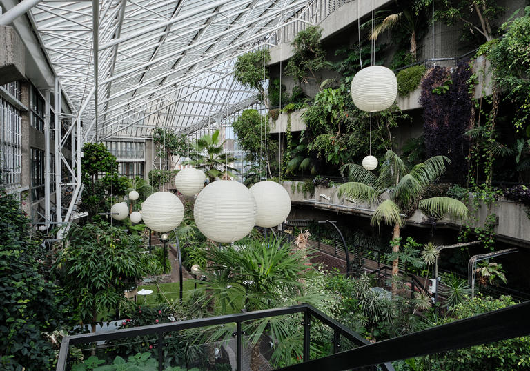 An image of Noguchi Akari installation in the conservatory
