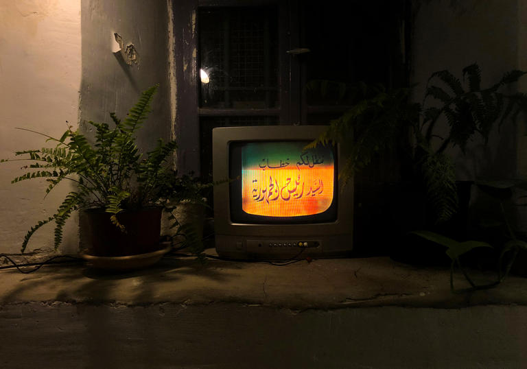 Still image of a television and plant from The Return of Osiris