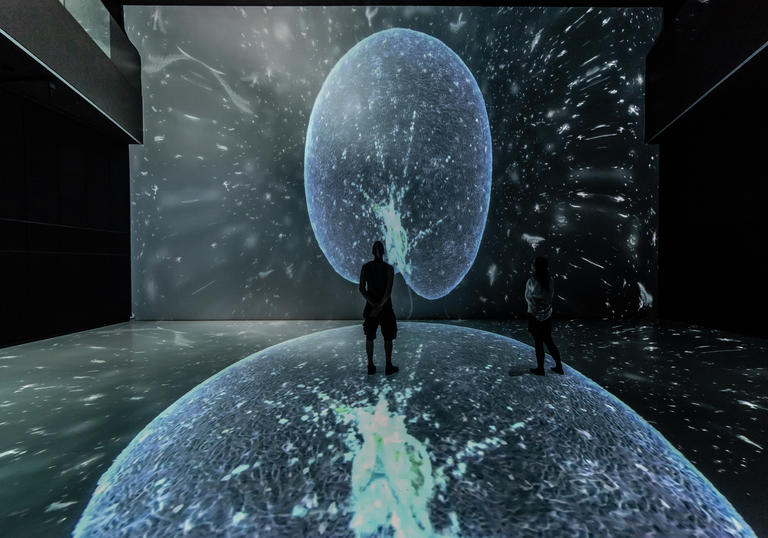 Someone in the Noise Aquarium