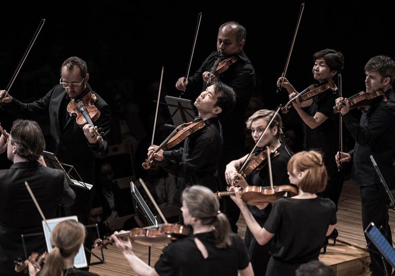 Violinists from the Australian Chamber Orchestra playing their instruments on stage