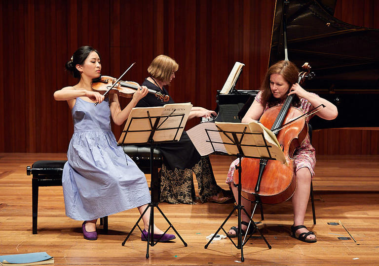 Chamber musicians