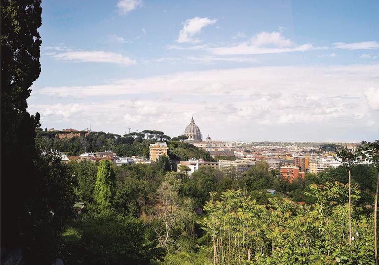 a photo of a city shot from a distance