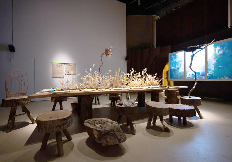 A large dining table and chair set up, crafted of wood and dressed with other natural materials.