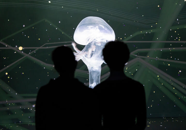 silhoutte of two people looking at a projection of a white jellyfish 