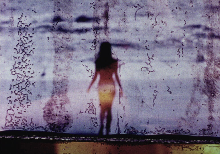 Still image from Fuses by Carolee Schneemann