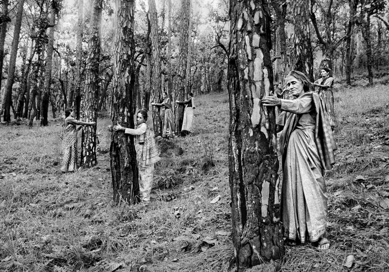 A black and white image of women with bows and arrows behind trees