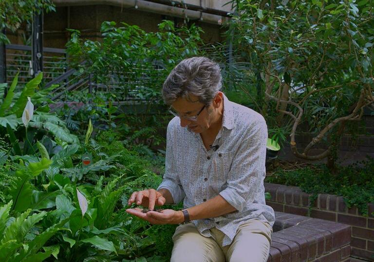 A person sits in a plant-filled conservatory holding and examining soil.