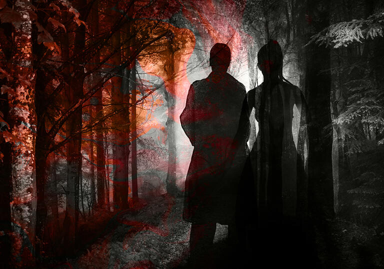 Silhouette of a man and woman in woods at night
