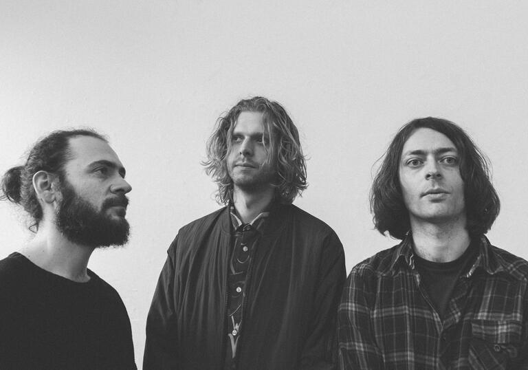 Black and white landscape press shot of Mammal Hands