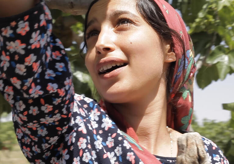 Still from Under The Fig Trees