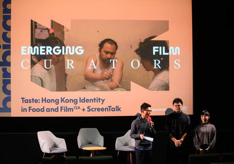 Curators at a film panel discussion