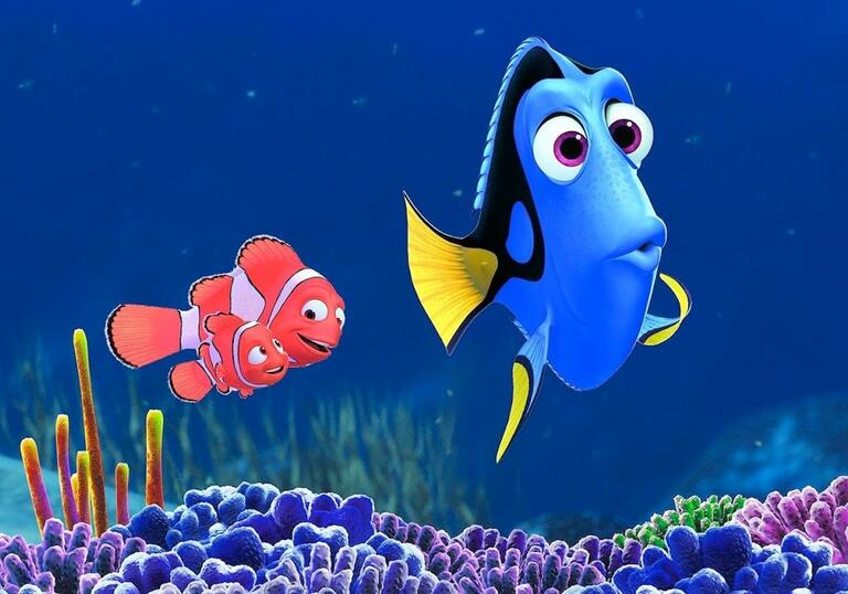 Dory, a blue fish in the ocean, looks surprised
