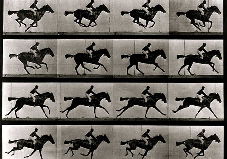 Various images of a horse running in a 4 x 4 grid
